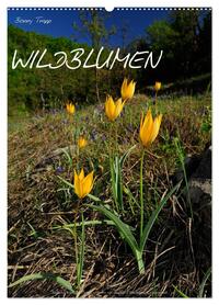 Vorderes Coverbild WILDBLUMEN (Wandkalender 2026 DIN A2 hoch), CALVENDO Monatskalender