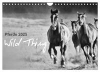 Vorderes Coverbild Pferde 2025 Wild Thing (Wandkalender 2025 DIN A4 quer), CALVENDO Monatskalender