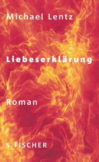 Vorderes Coverbild Liebeserklärung