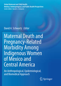 Vorderes Coverbild Maternal Death and Pregnancy-Related Morbidity Among Indigenous Women of Mexico and Central America