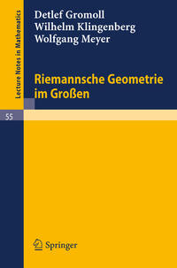 Vorderes Coverbild Riemannsche Geometrie im Großen