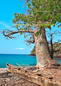 Vorderes Coverbild Notizen aus São Tomé und Príncipe