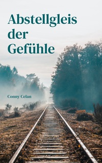 Vorderes Coverbild Abstellgleis der Gefühle