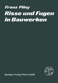 Vorderes Coverbild Risse und Fugen in Bauwerken