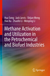 Vorderes Coverbild Methane Activation and Utilization in the Petrochemical and Biofuel Industries