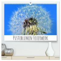 Vorderes Coverbild Pusteblumen Feuerwerk (hochwertiger Premium Wandkalender 2025 DIN A2 quer), Kunstdruck in Hochglanz