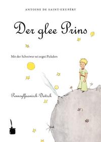 Vorderes Coverbild Der glee Prins