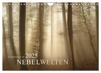 Vorderes Coverbild Unterwegs in Nebelwelten (Wandkalender 2025 DIN A4 quer), CALVENDO Monatskalender