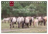 Vorderes Coverbild Dülmener Pferde, wild und schön (Tischkalender 2025 DIN A5 quer), CALVENDO Monatskalender