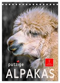 Vorderes Coverbild Putzige Alpakas (Tischkalender 2025 DIN A5 hoch), CALVENDO Monatskalender