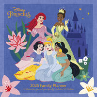 Vorderes Coverbild Pyramid - Disney Princess 2025 Familienplaner, 30x30cm, Familienkalender für Disney Princess Fans, Planer mit 6 Terminspalten und Sticker Sheet, nachhaltig nur mit Papierumschlag