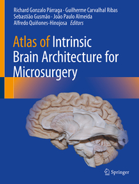 Vorderes Coverbild Atlas of Intrinsic Brain Architecture for Microsurgery