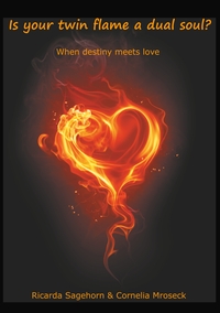 Vorderes Coverbild Is your twin flame a dual soul?