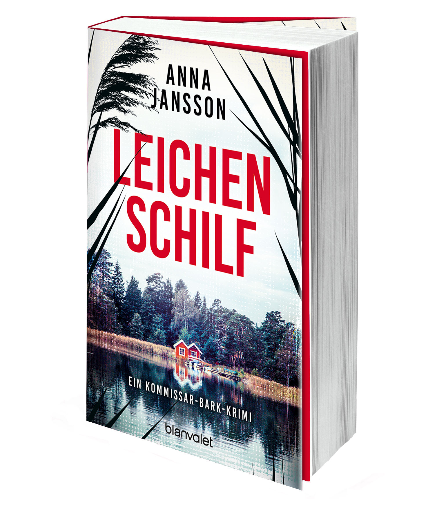 Beispielinhalt (Bild) Leichenschilf