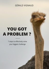 Vorderes Coverbild You got a problem ?