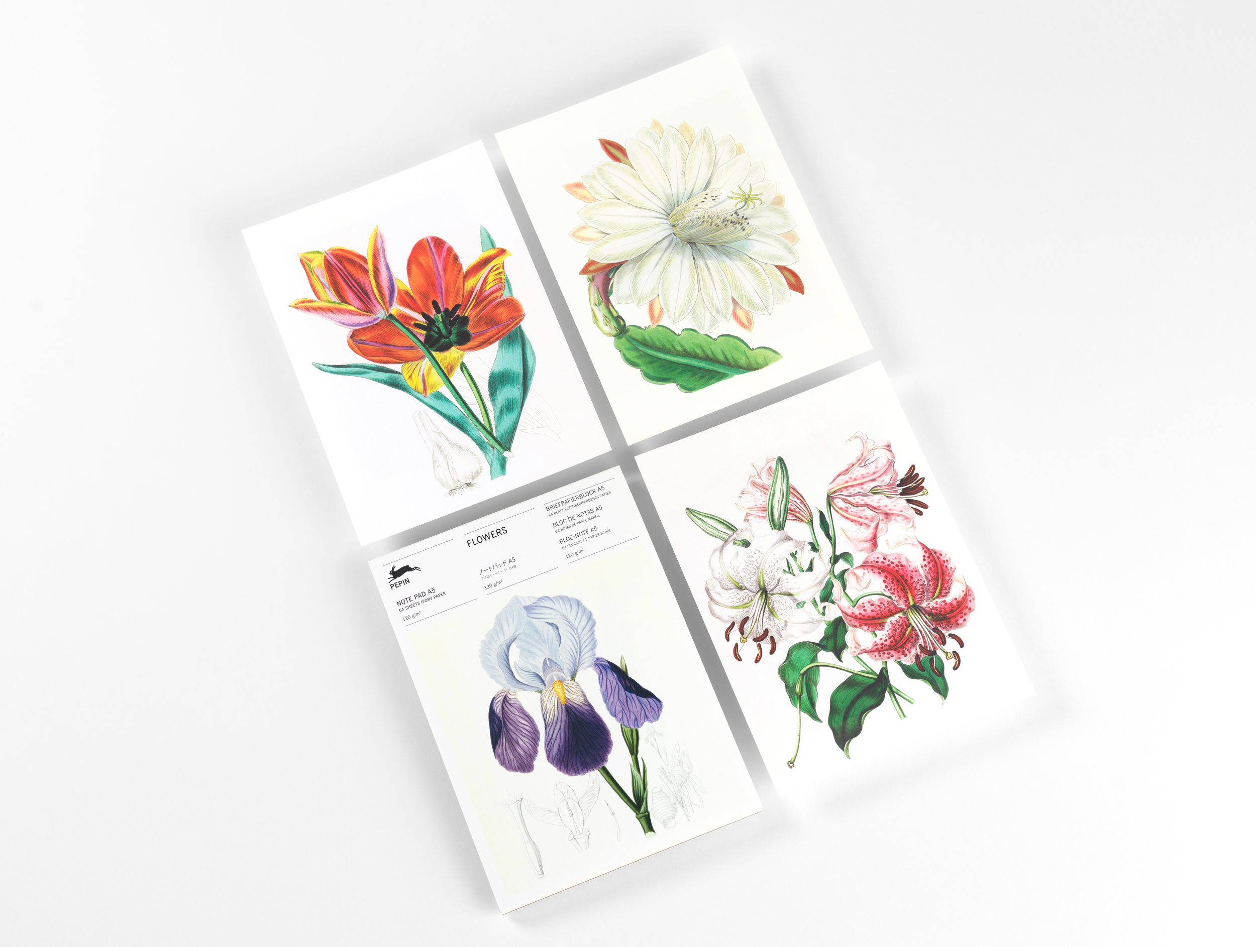 Beispielinhalt (Bild) Flowers