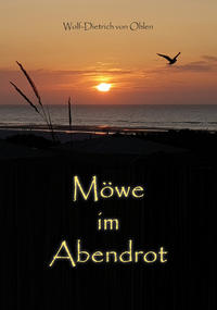 Vorderes Coverbild Möwe im Abendrot