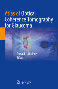 Vorderes Coverbild Atlas of Optical Coherence Tomography for Glaucoma