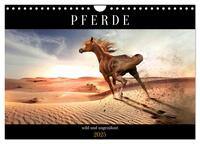 Vorderes Coverbild Pferde - wild und ungezähmt (Wandkalender 2025 DIN A4 quer), CALVENDO Monatskalender