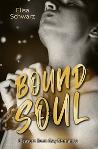 Vorderes Coverbild Bound Soul