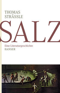 Vorderes Coverbild Salz