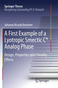 Vorderes Coverbild A First Example of a Lyotropic Smectic C* Analog Phase