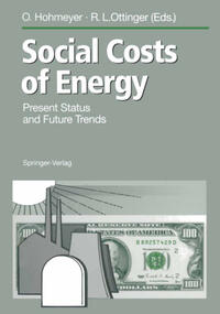 Vorderes Coverbild Social Costs of Energy