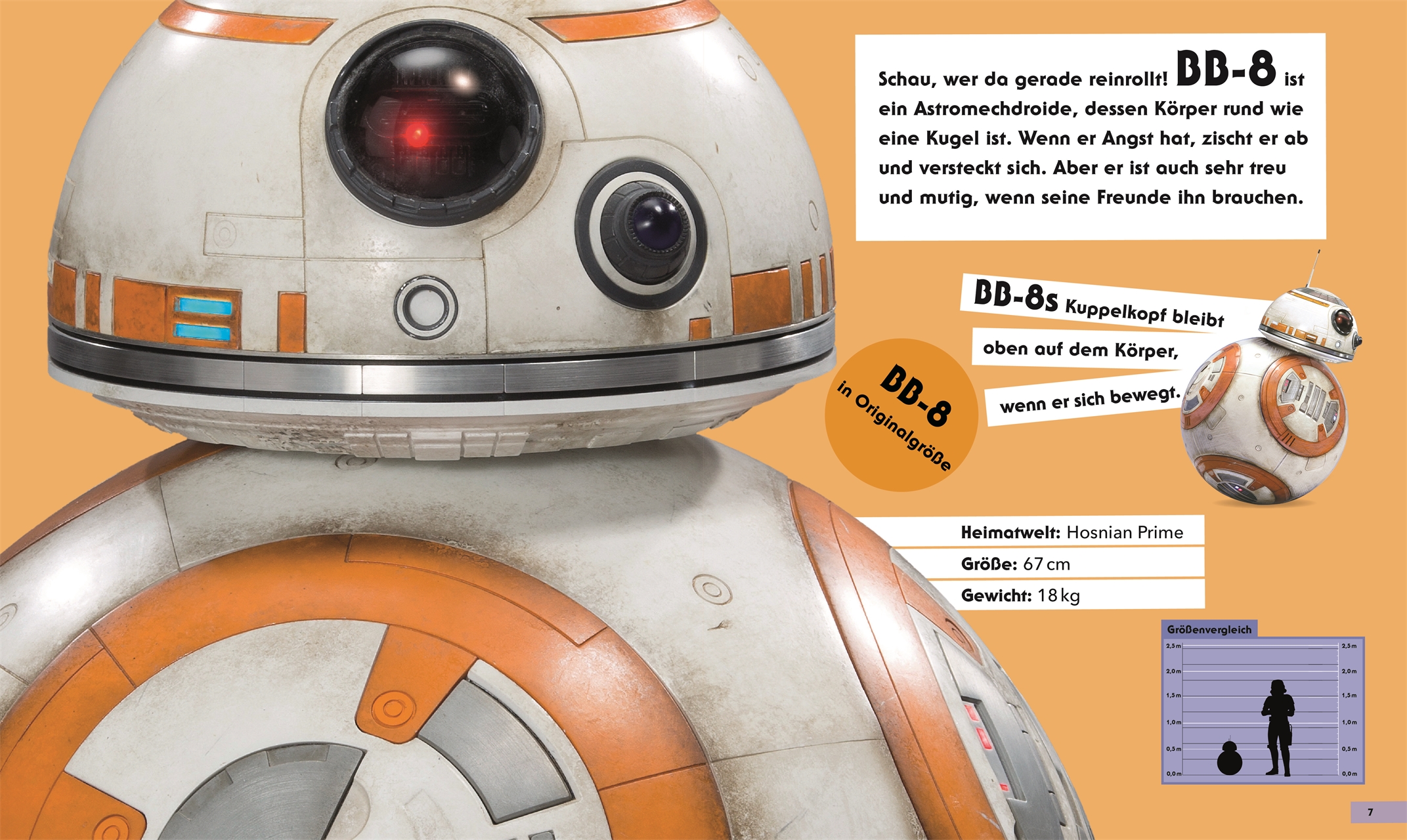 Beispielinhalt (Bild) Star Wars™ In Lebensgröße