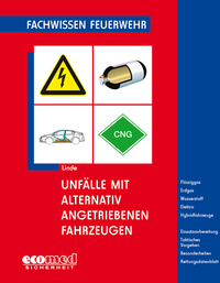 Vorderes Coverbild Unfälle mit alternativ angetriebenen Fahrzeugen