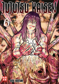 Vorderes Coverbild Jujutsu Kaisen – Band 6