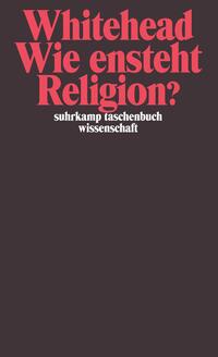 Vorderes Coverbild Wie entsteht Religion?