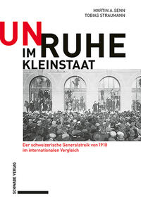 Vorderes Coverbild Unruhe im Kleinstaat