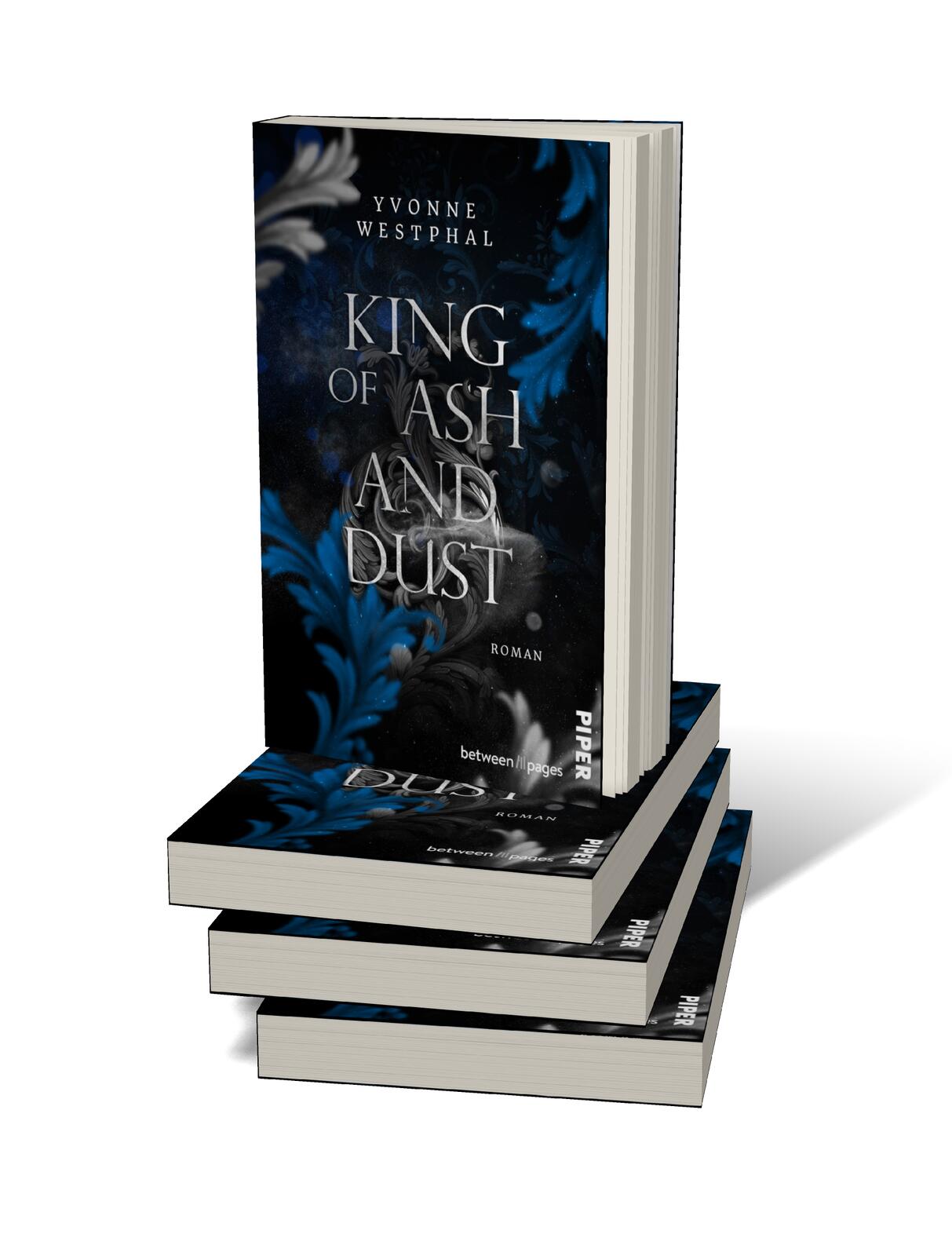 Beispielinhalt (Bild) King of Ash and Dust