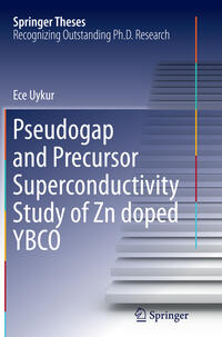 Vorderes Coverbild Pseudogap and Precursor Superconductivity Study of Zn doped YBCO