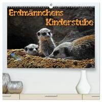 Vorderes Coverbild Erdmännchens Kinderstube (hochwertiger Premium Wandkalender 2025 DIN A2 quer), Kunstdruck in Hochglanz