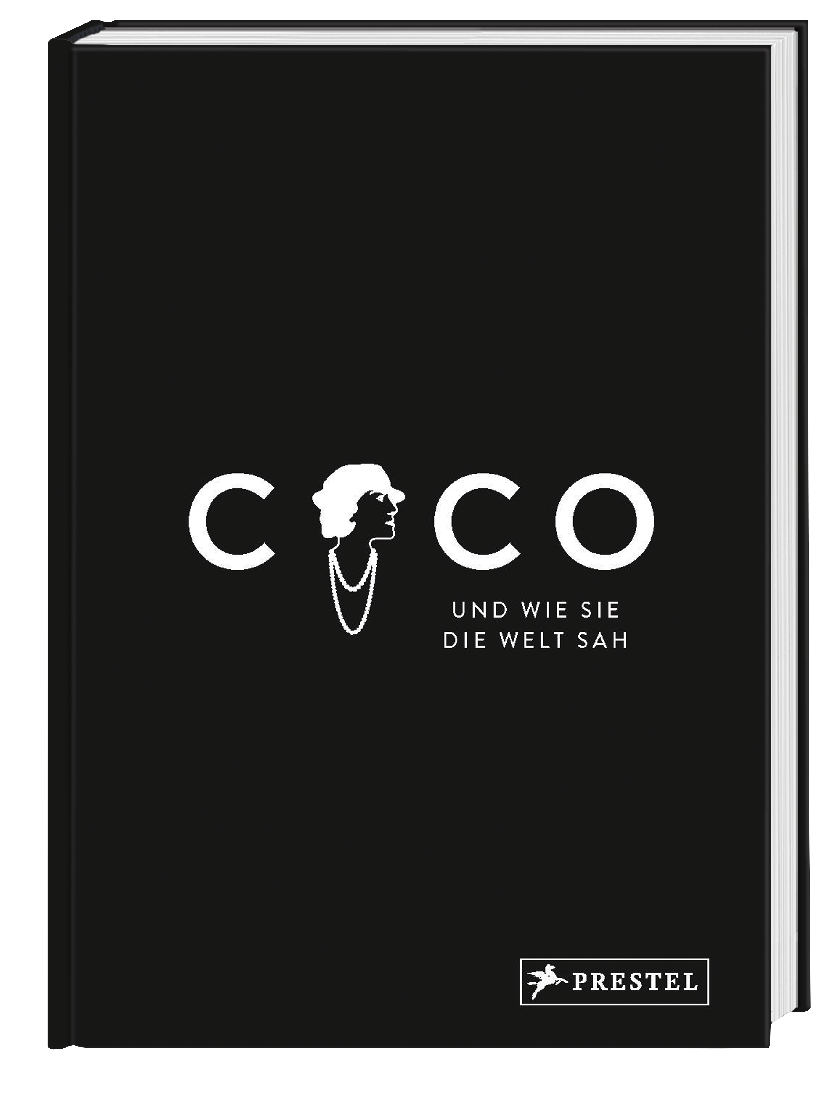 Beispielinhalt (Bild) Coco und wie sie die Welt sah