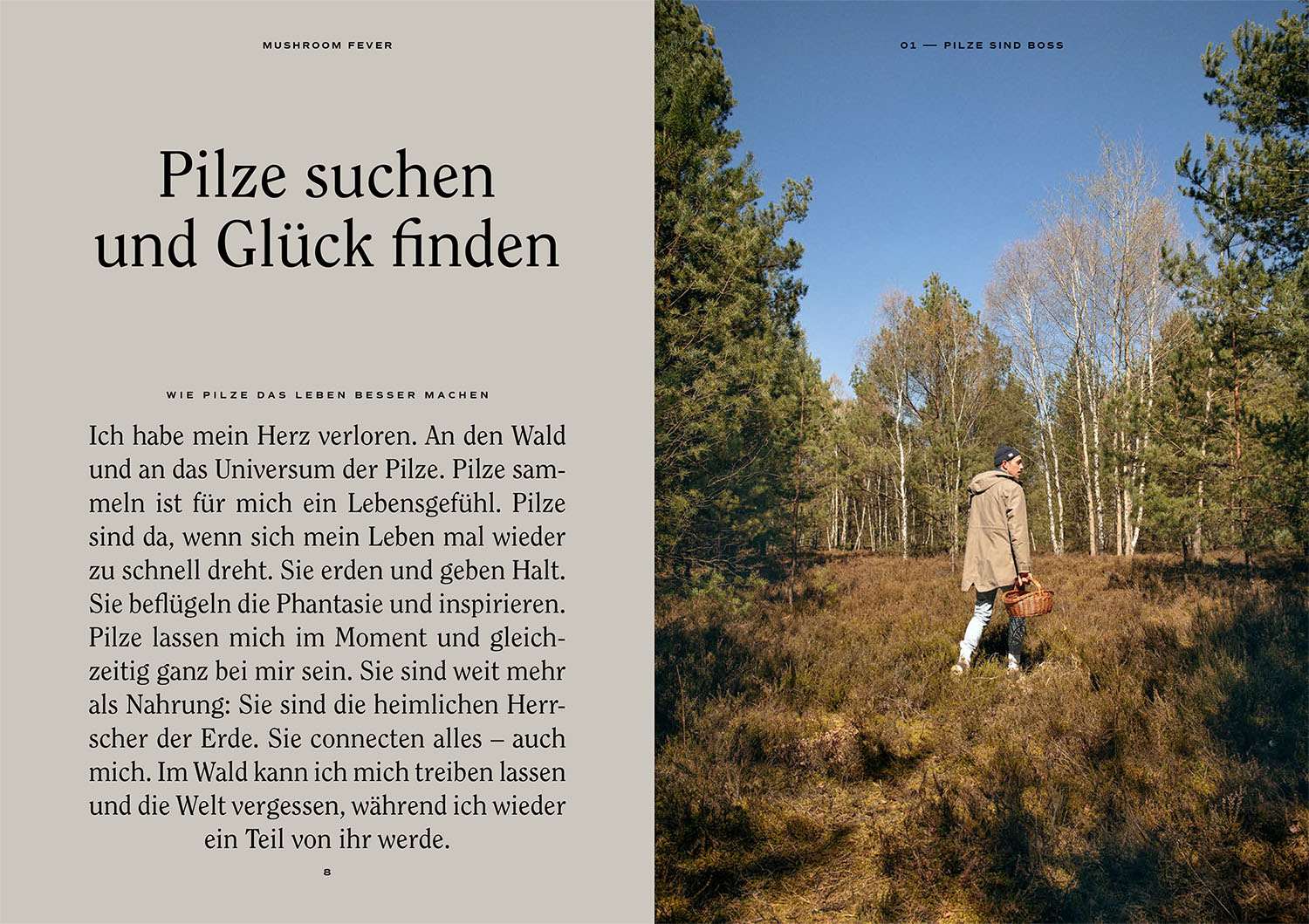 Beispielinhalt (Bild) Mushroom Fever