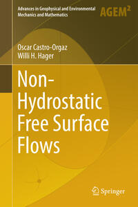 Vorderes Coverbild Non-Hydrostatic Free Surface Flows