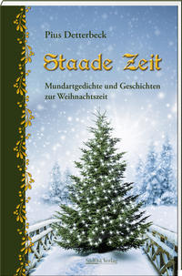 Vorderes Coverbild Staade Zeit