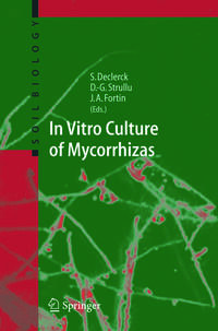 Vorderes Coverbild In Vitro Culture of Mycorrhizas