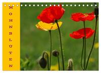 Vorderes Coverbild MOHNBLÜTEN (Tischkalender 2025 DIN A5 quer), CALVENDO Monatskalender