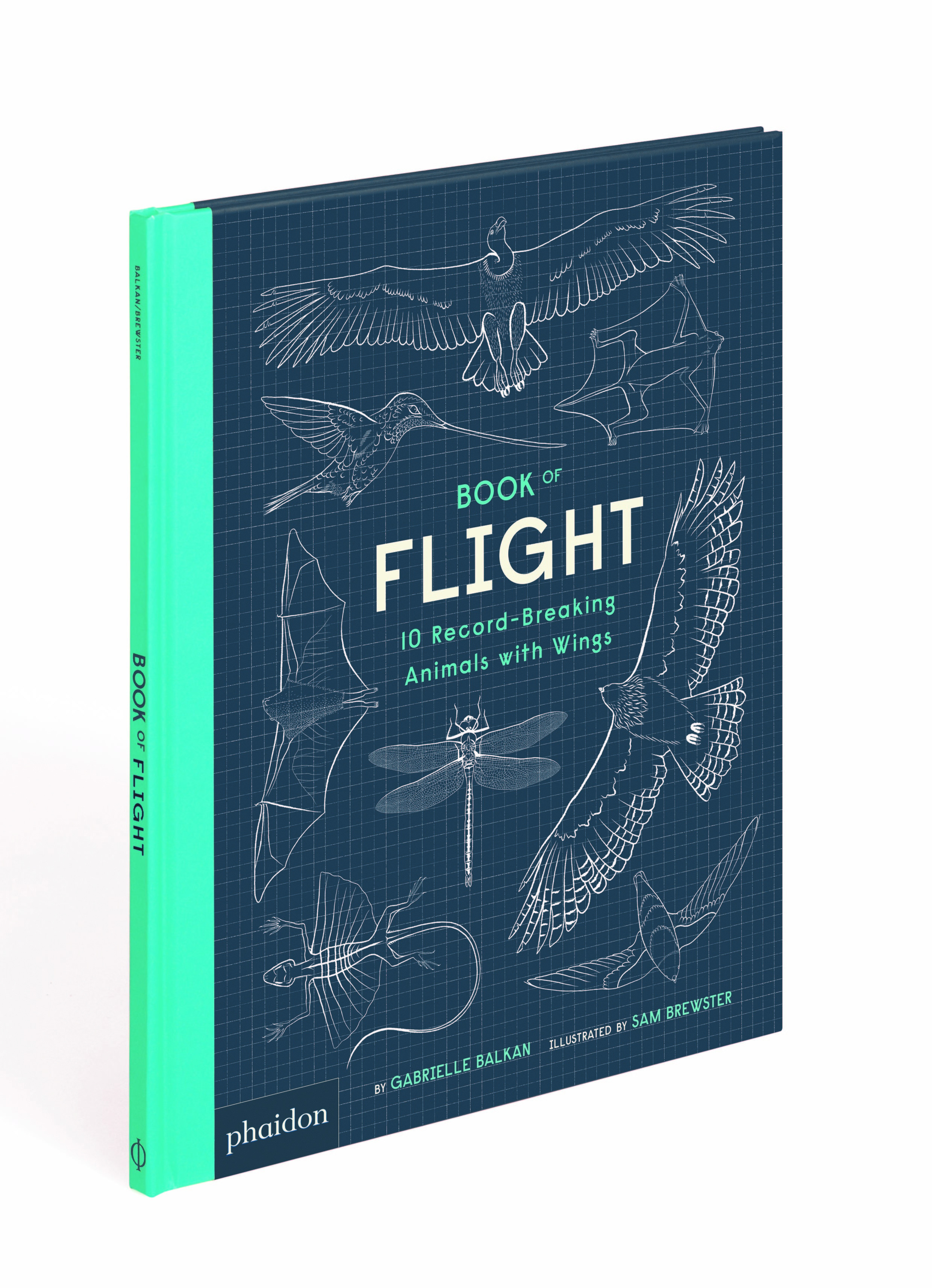 Beispielinhalt (Bild) Book of Flight