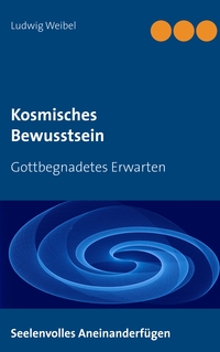 Vorderes Coverbild Kosmisches Bewusstsein