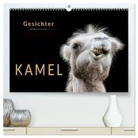 Vorderes Coverbild Kamel Gesichter (hochwertiger Premium Wandkalender 2025 DIN A2 quer), Kunstdruck in Hochglanz