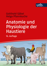 Vorderes Coverbild Anatomie und Physiologie der Haustiere