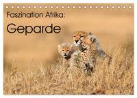 Vorderes Coverbild Faszinaton Afrika: Geparde (Tischkalender 2025 DIN A5 quer), CALVENDO Monatskalender