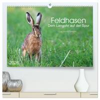 Vorderes Coverbild Feldhasen - dem Langohr auf der Spur (hochwertiger Premium Wandkalender 2026 DIN A2 quer), Kunstdruck in Hochglanz