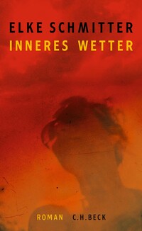 Vorderes Coverbild Inneres Wetter