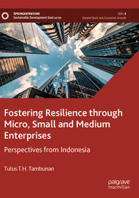 Vorderes Coverbild Fostering Resilience through Micro, Small and Medium Enterprises