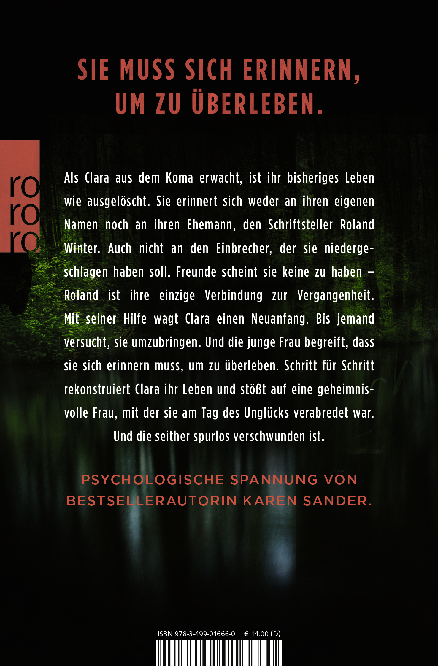Rückseitencover Das Gesicht meines Mörders